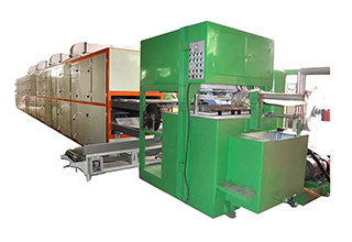 Automatic Pulp Molding Machine